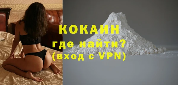 дживик Осинники