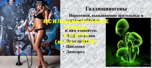 дживик Осинники