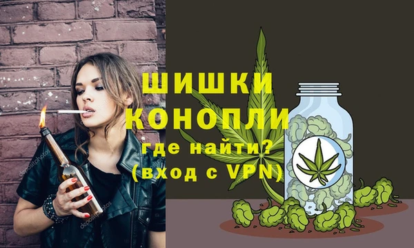 дживик Осинники