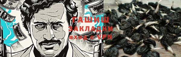дживик Осинники