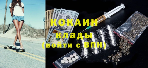 дживик Осинники