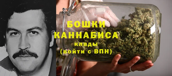 дживик Осинники