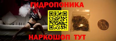 шишки Среднеуральск