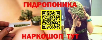 шишки Среднеуральск