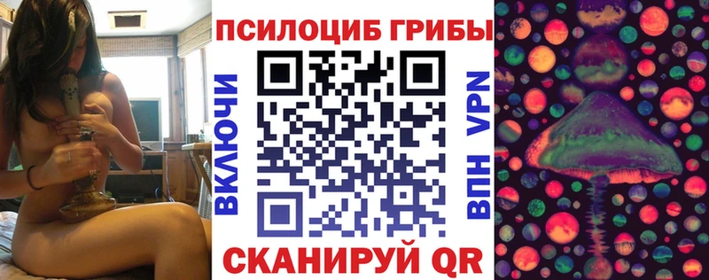 Галлюциногенные грибы Cubensis omg вход Сорочинск